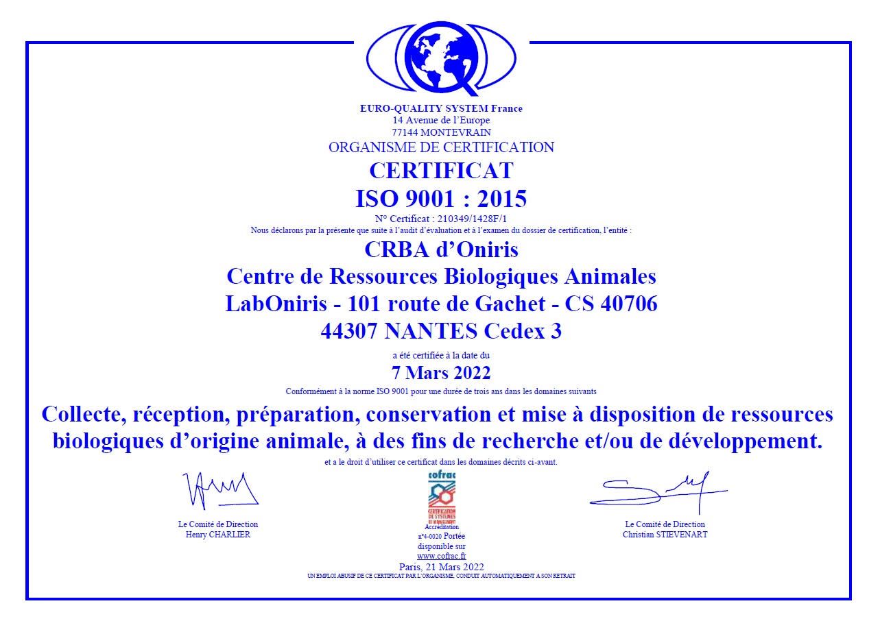 ISO 9001 2015